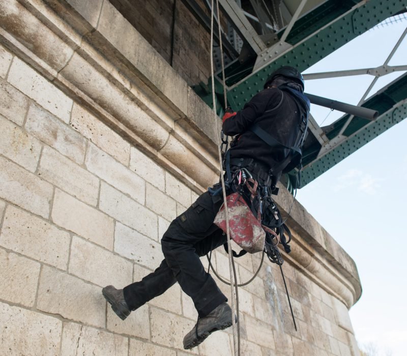 Foto 1 trabajo vertical